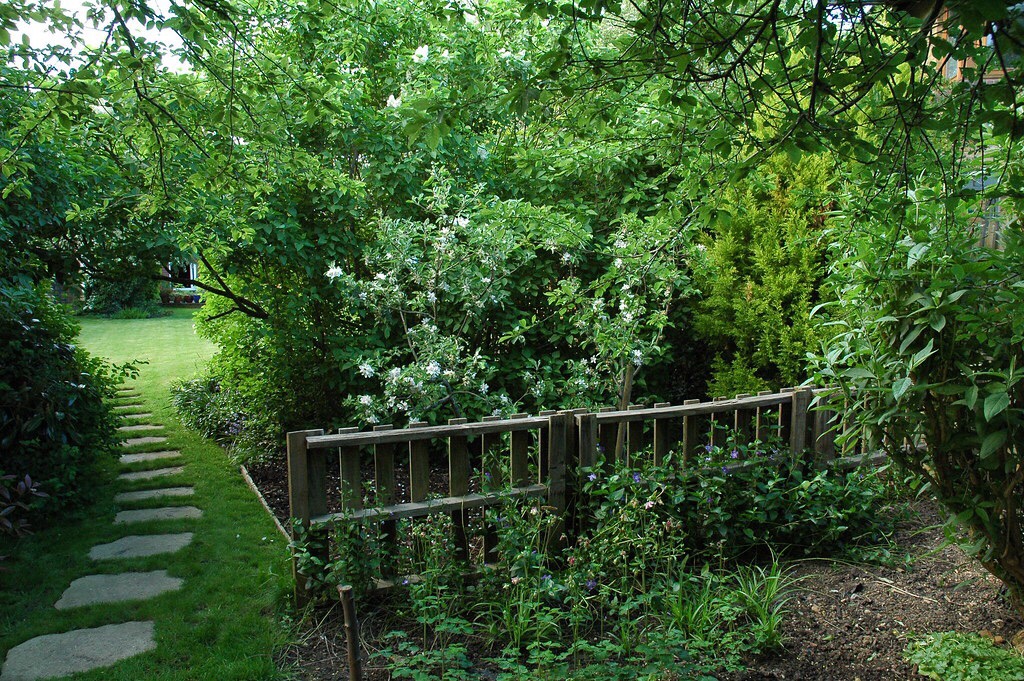 Dividing the garden between the main area and woodland area